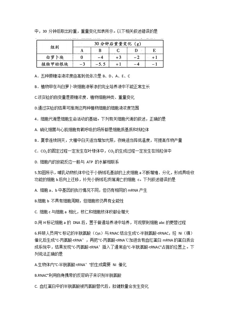 2021潍坊高三上学期期末统考生物试题含答案第2页