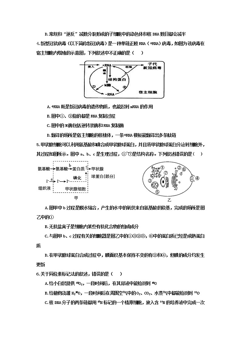 2021银川兴庆区长庆高级中学高三第五次月考理综生物试卷含答案02