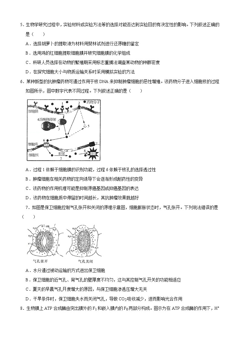 莱芜一中高三1月生物试题第2页