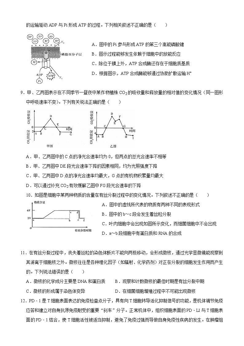 莱芜一中高三1月生物试题第3页