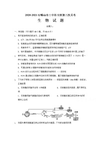 2021石嘴山三中高三上学期第三次月考（期末）生物试题（补习班）含答案