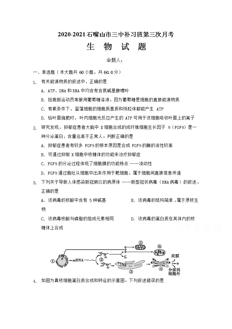 2021石嘴山三中高三上学期第三次月考（期末）生物试题（补习班）含答案01