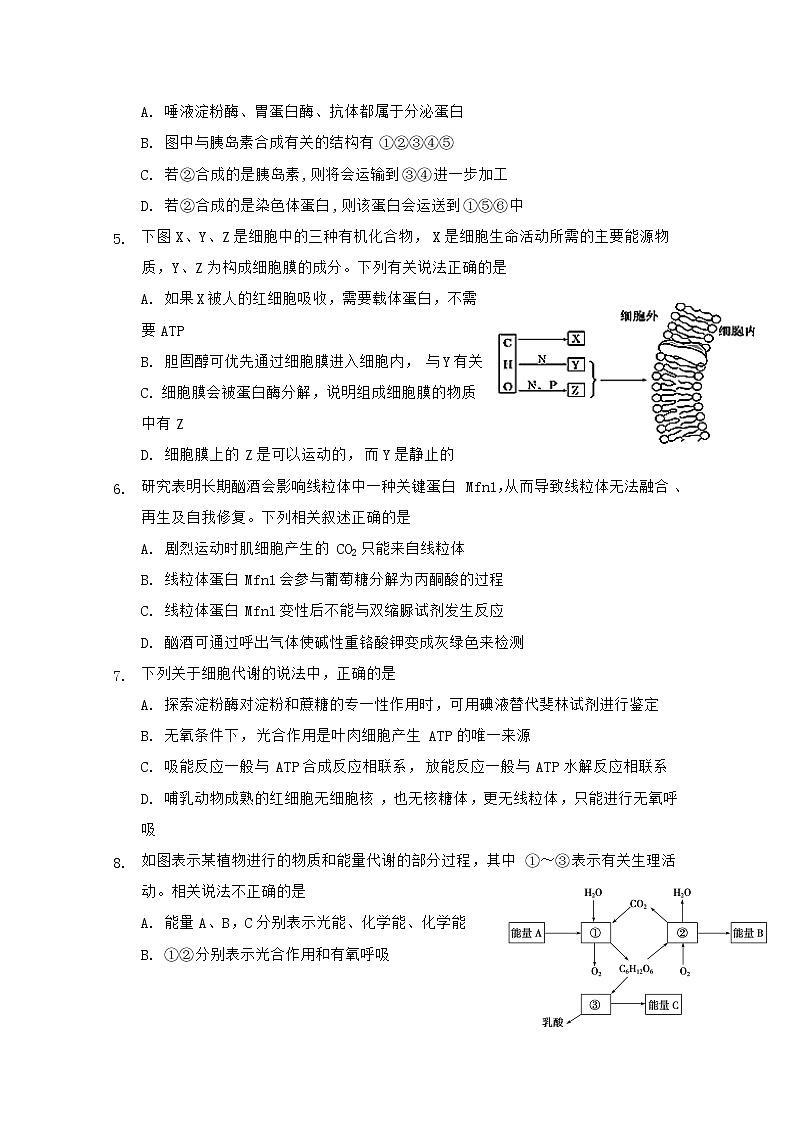 2021石嘴山三中高三上学期第三次月考（期末）生物试题（补习班）含答案02