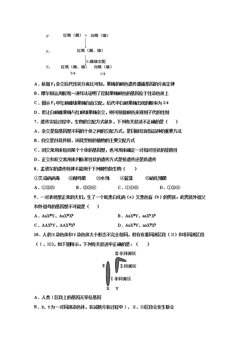 2021武威十八中高三上学期第四次诊断检测（期末）生物试题含答案02