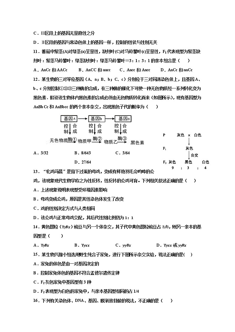 2021武威十八中高三上学期第四次诊断检测（期末）生物试题含答案03