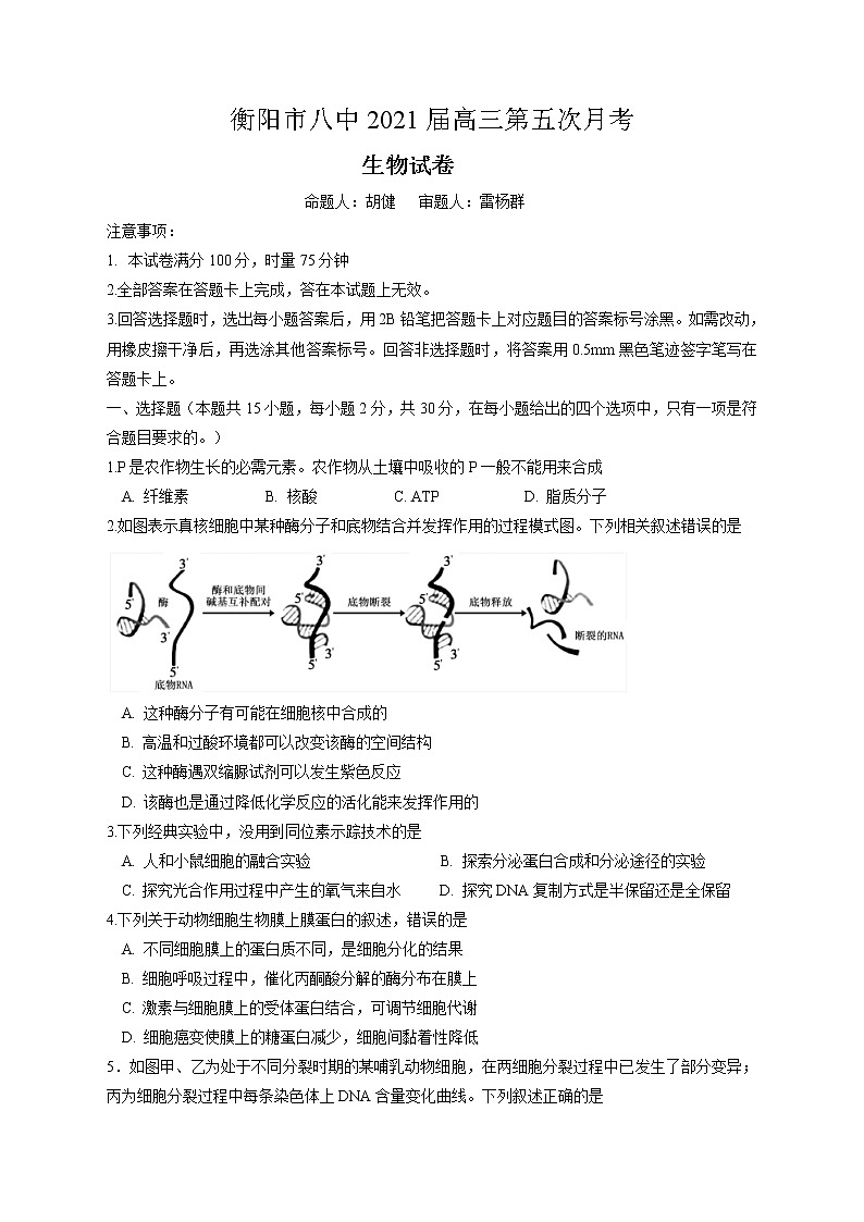 第5次月考生物试卷第1页