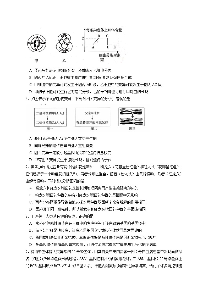 第5次月考生物试卷第2页
