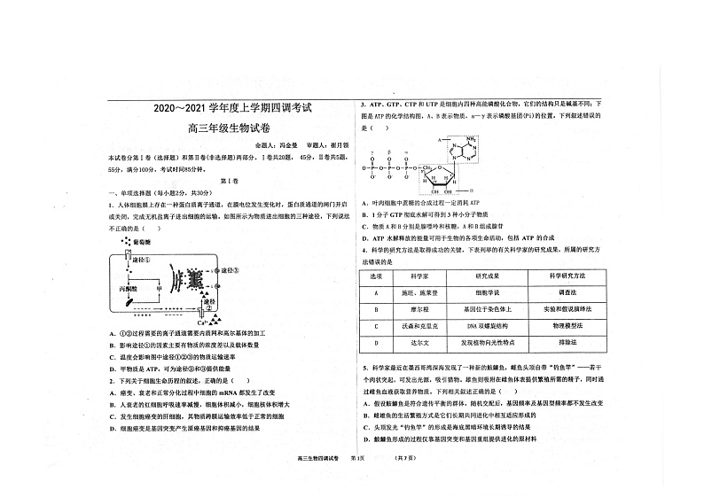 2021衡水中学高三上学期新高考四调考试生物试题扫描版含答案01