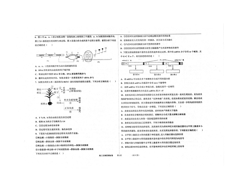 2021衡水中学高三上学期新高考四调考试生物试题扫描版含答案02