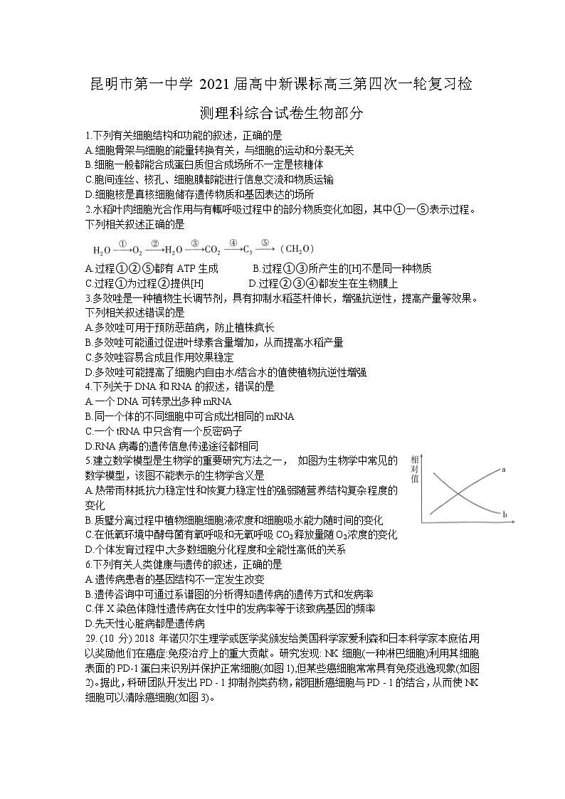 2021昆明一中高三上学期第四次一轮复习检测理科综合生物试题含答案第1页