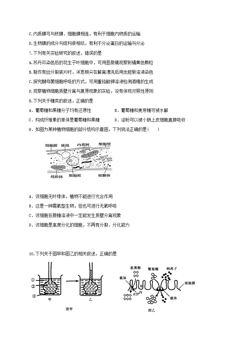 2021省七台河勃利县高级中学高三上学期期中考试生物试题含答案第2页