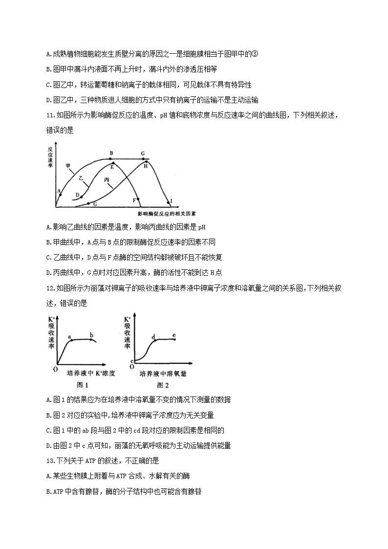 2021省七台河勃利县高级中学高三上学期期中考试生物试题含答案第3页