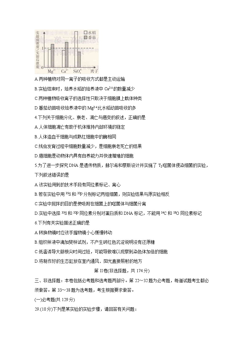 2021开封高三上学期第一次模拟考试试题生物含答案第2页