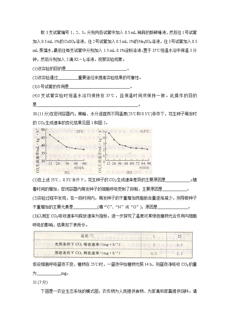 2021开封高三上学期第一次模拟考试试题生物含答案第3页