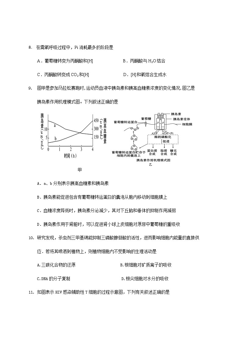 2021绍兴新昌中学高三上学期1月普通高校招生仿真考试生物试题含答案第3页