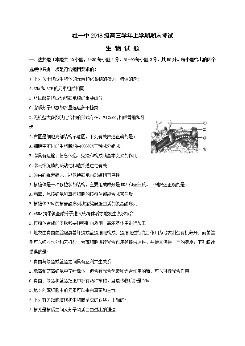 2021省牡丹江一中高三上学期期末生物试题含答案第1页