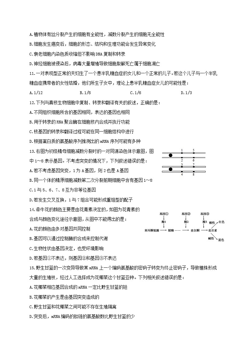 2021省牡丹江一中高三上学期期末生物试题含答案第3页