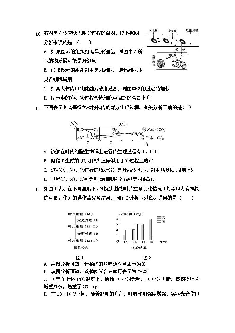 2021晋中祁县中学高三上学期12月月考生物试题（复习班）含答案第3页