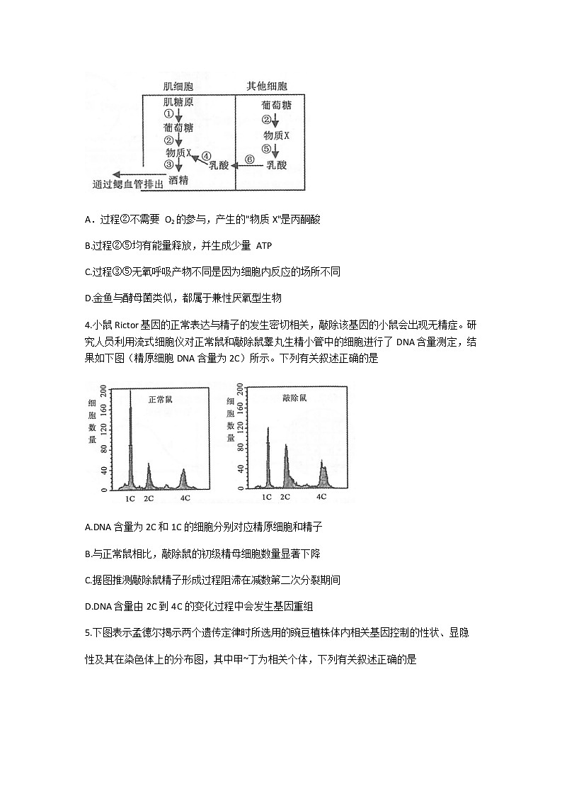 2021常熟高三上学期阶段性抽测二生物试题含答案第2页