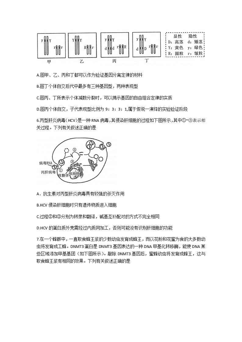 2021常熟高三上学期阶段性抽测二生物试题含答案第3页
