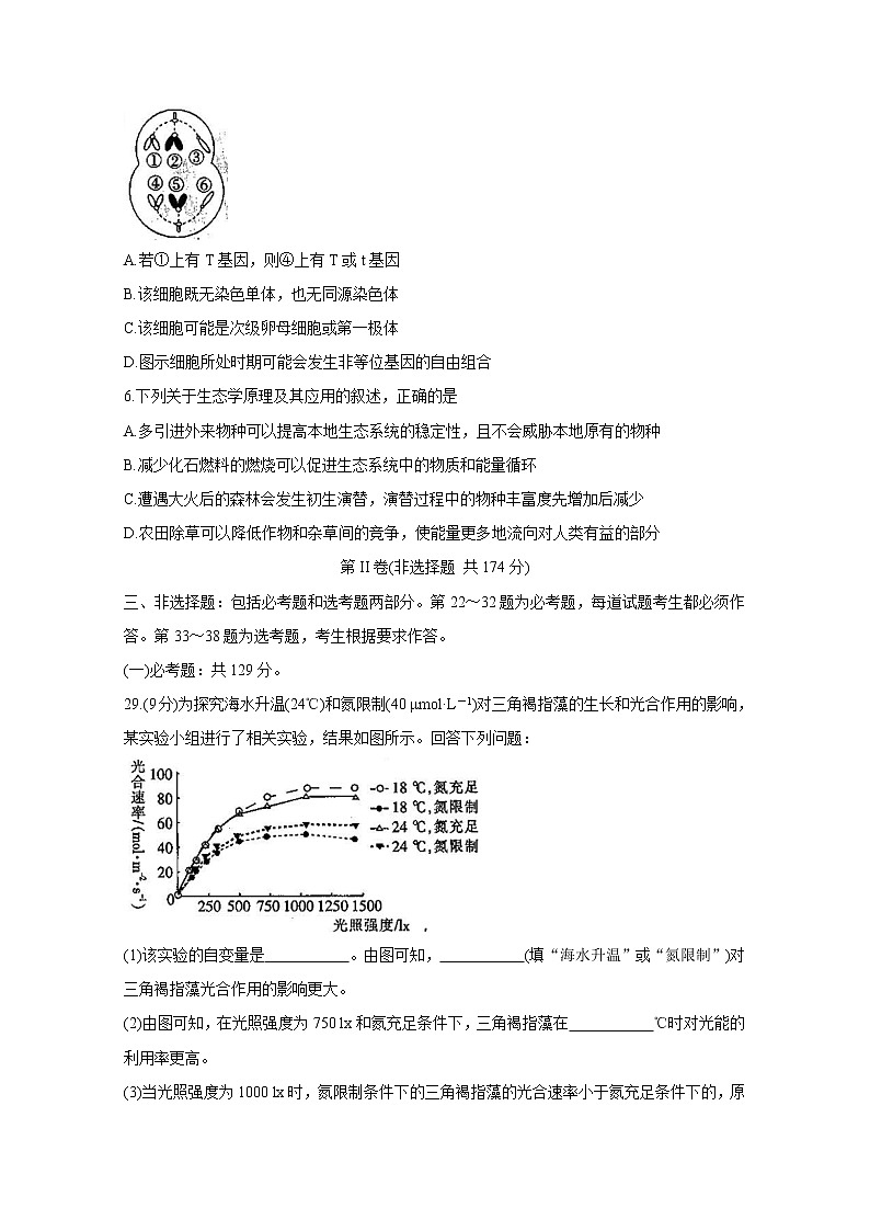 2021青海省海东市高三第一次模拟考试试题生物含答案第2页