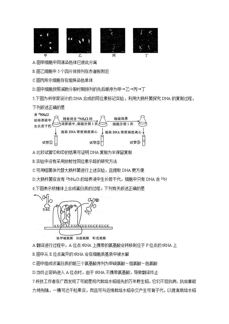 2021江苏省高三上学期第二次百校联考试题生物含答案第2页