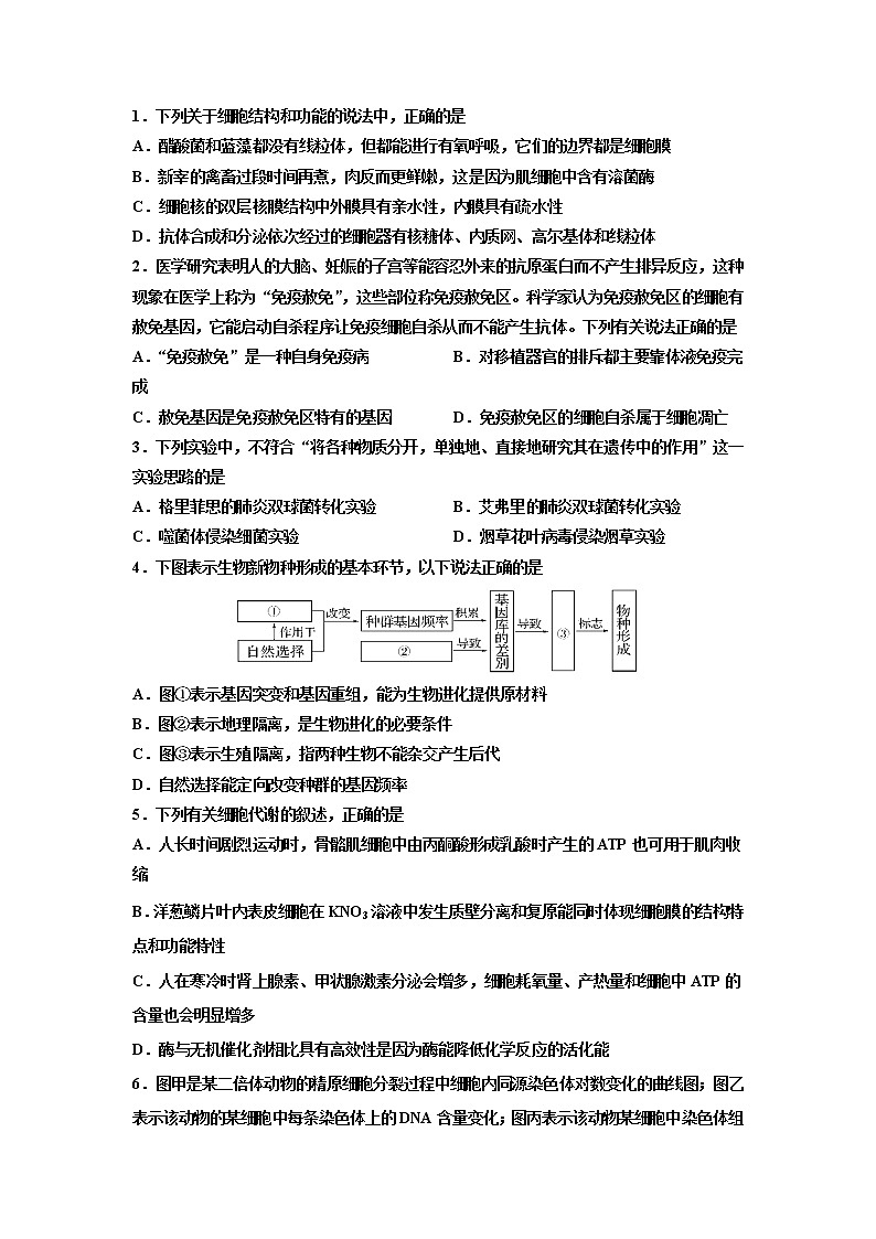 2021成都外国语学校、成都实验外国语高三12月月考理综-生物试题含答案第1页