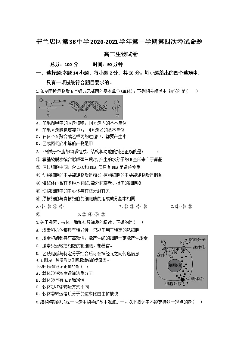 2021大连普兰店区第三十八中学高三第一学期第四次考试生物试卷含答案第1页