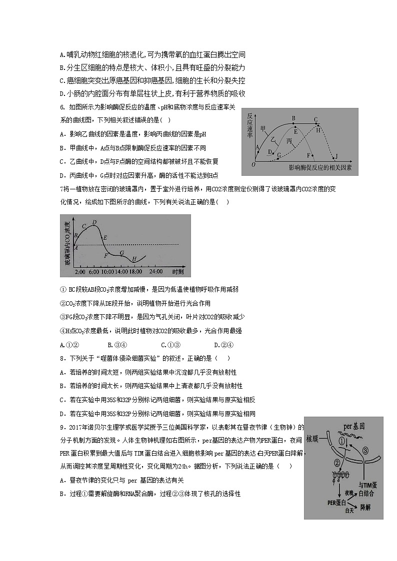 2021大连普兰店区第三十八中学高三第一学期第四次考试生物试卷含答案第2页