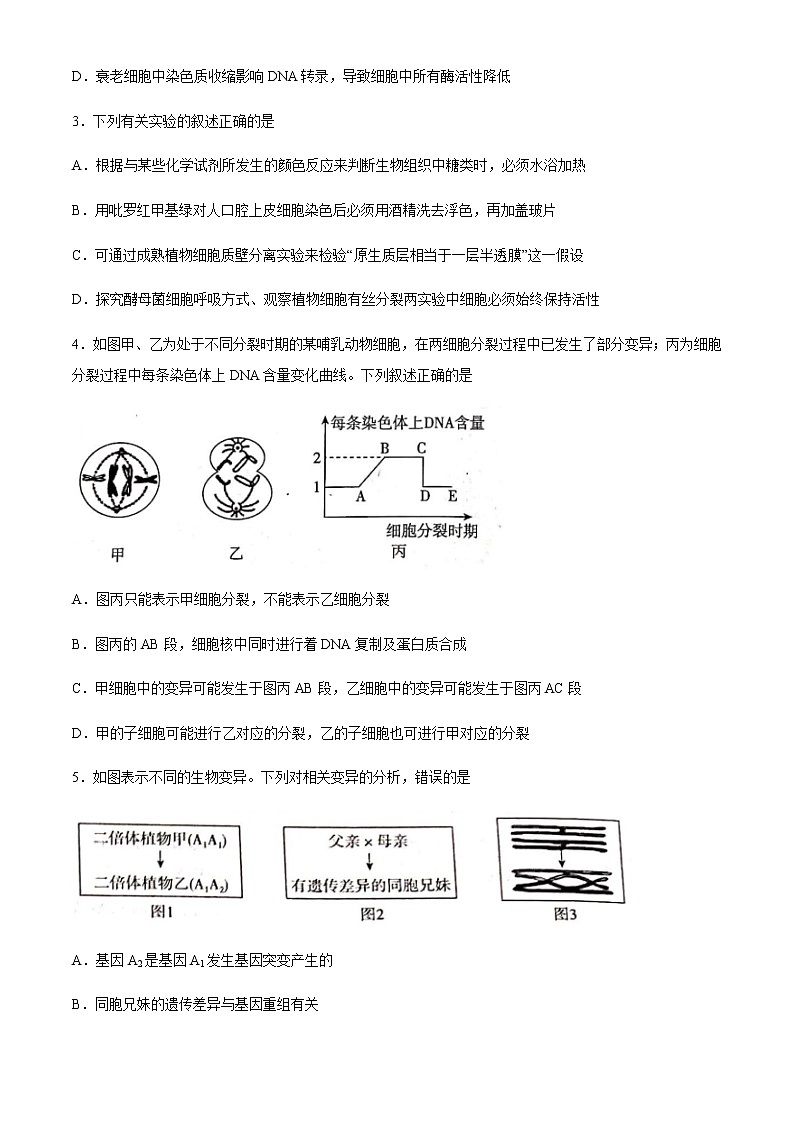2021百校联盟高三12月普通高中教育教学质量监测生物试题（新高考卷）含答案第2页