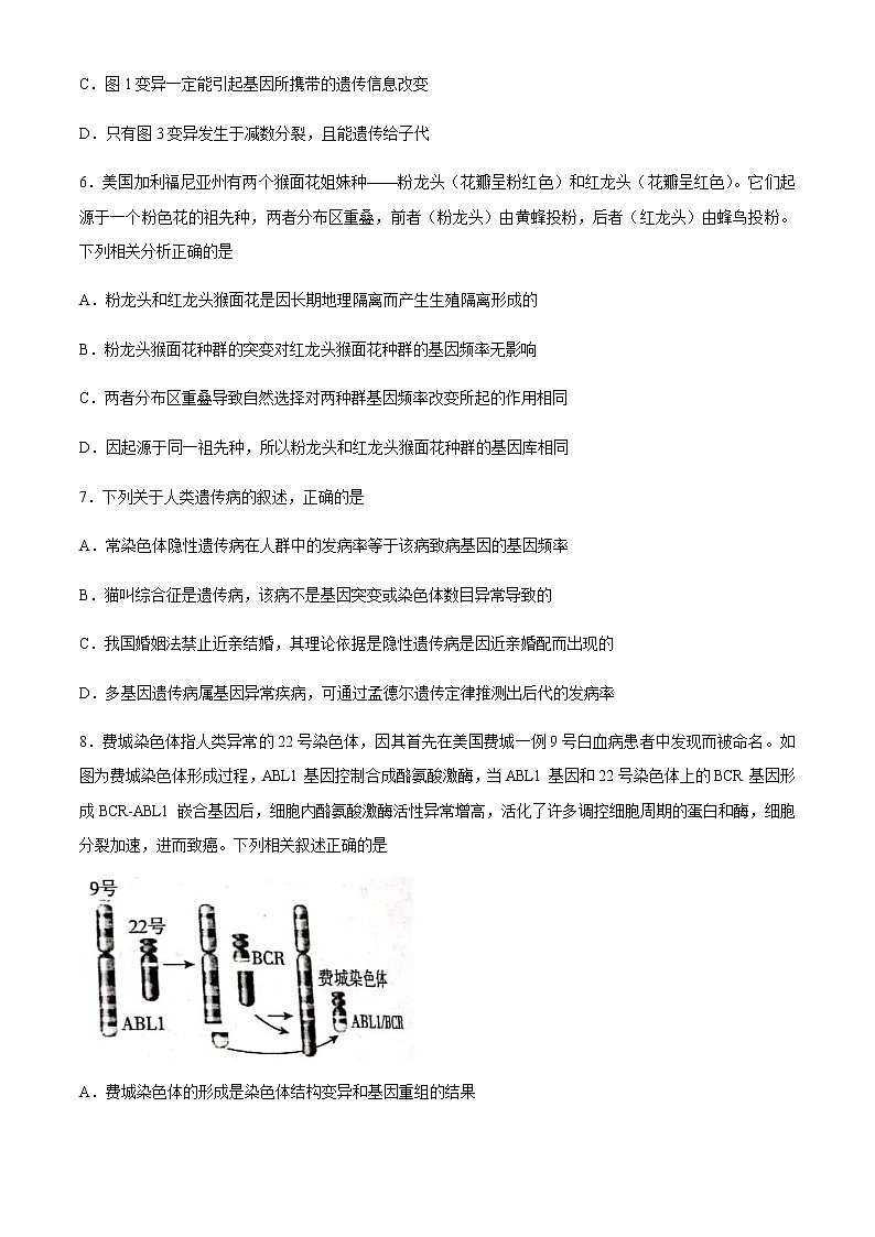 2021百校联盟高三12月普通高中教育教学质量监测生物试题（新高考卷）含答案第3页