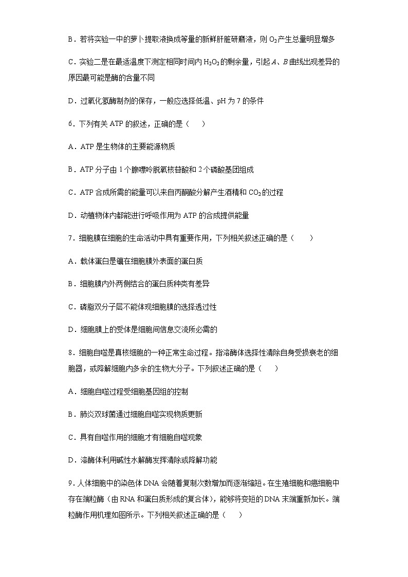 2021邯郸大名县一中高三上学期12月强化训练一生物试题含答案第3页