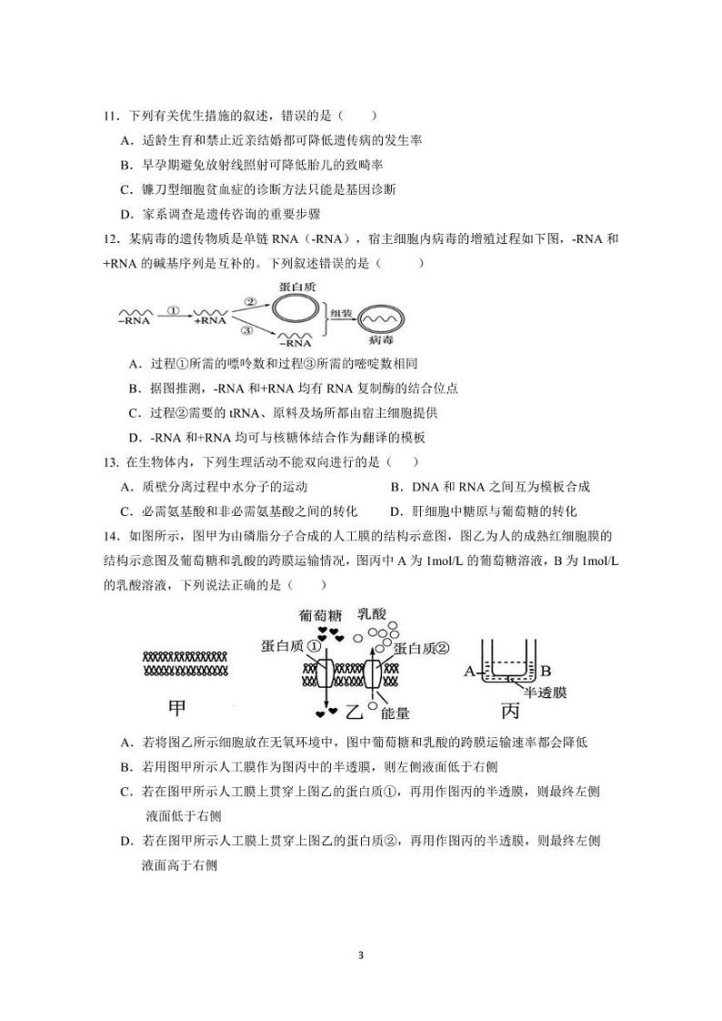 2021广东实验中学高三上学期11月份阶段测试生物PDF版含答案03