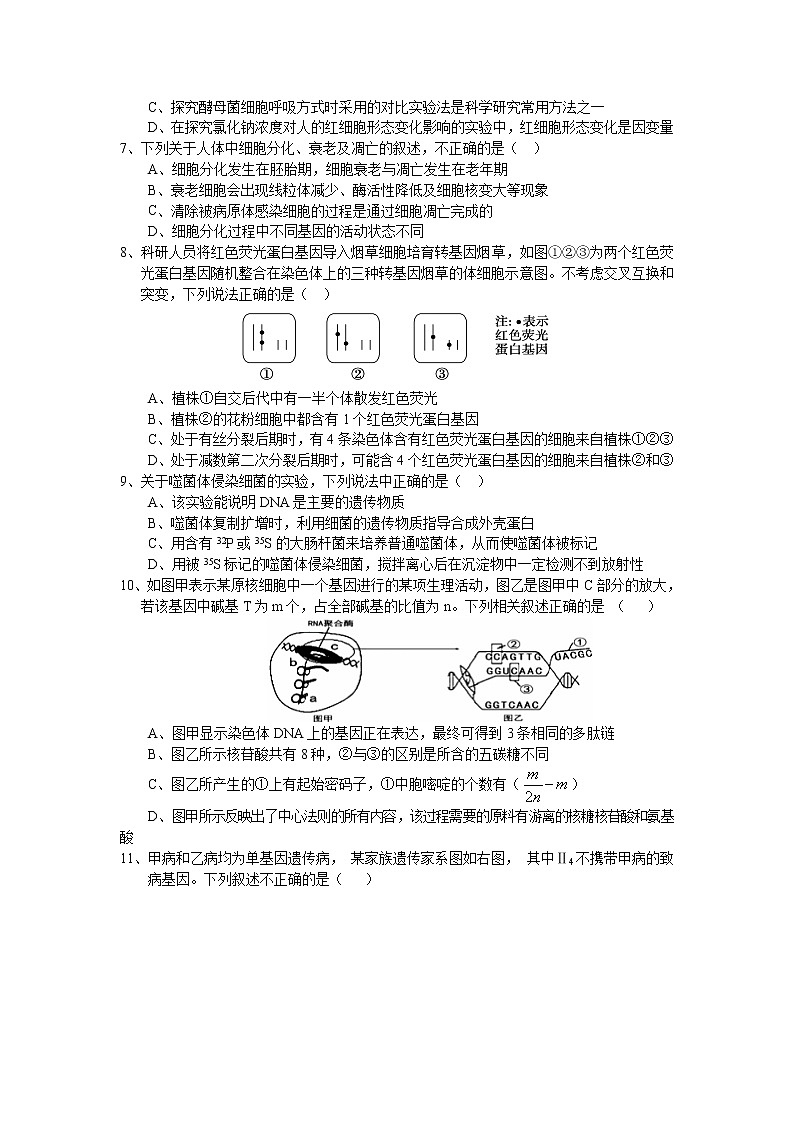 2021汉中高三上学期第一次模拟生物试题含答案02