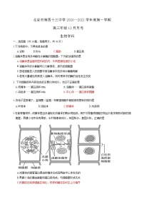 2021北京市第四十三中学高三上学期12月月考生物试题（可编辑）PDF版含答案