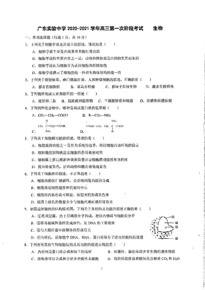 2021广东实验中学高三上学期第一次阶段考试（9月）生物PDF版含答案01
