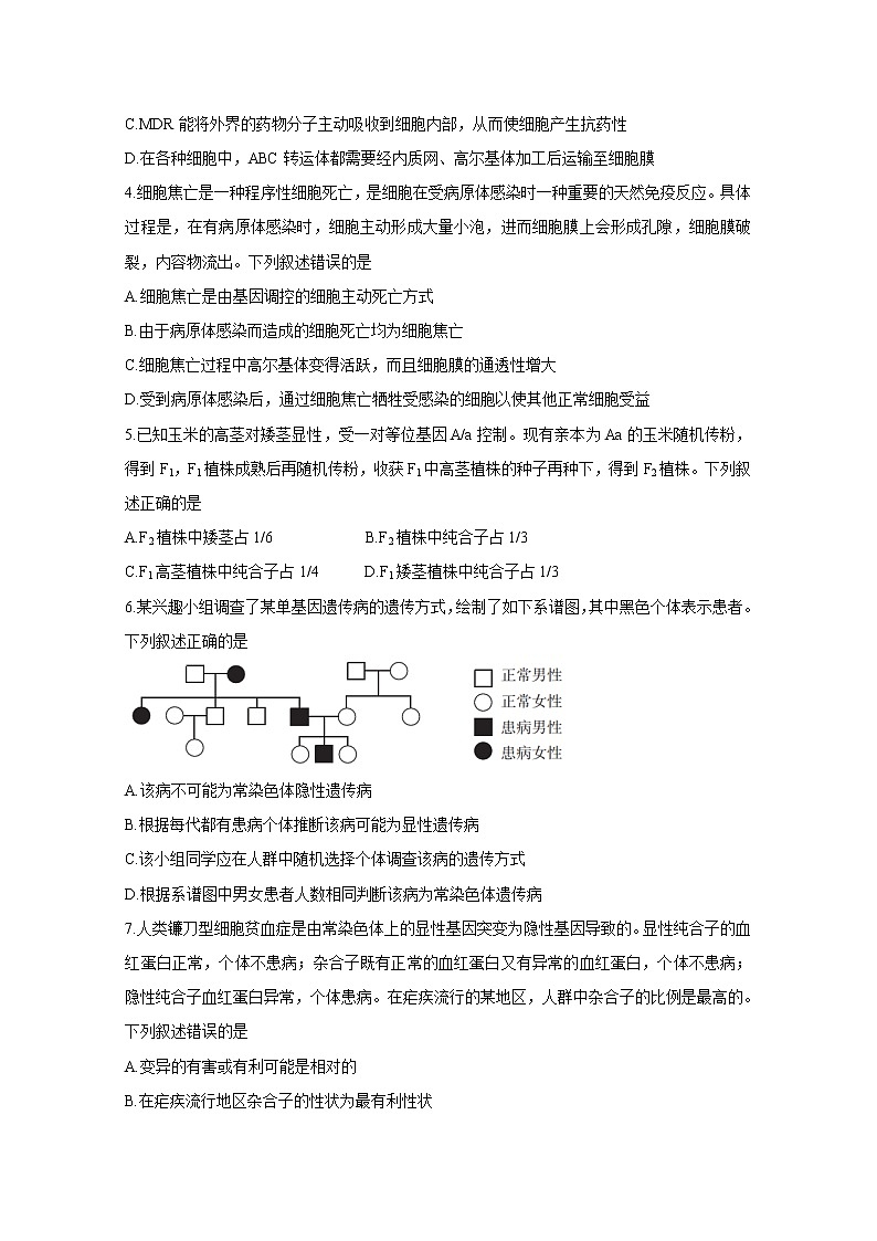 2021广东省高三普通高中学业质量联合测评（11月大联考）生物含答案02