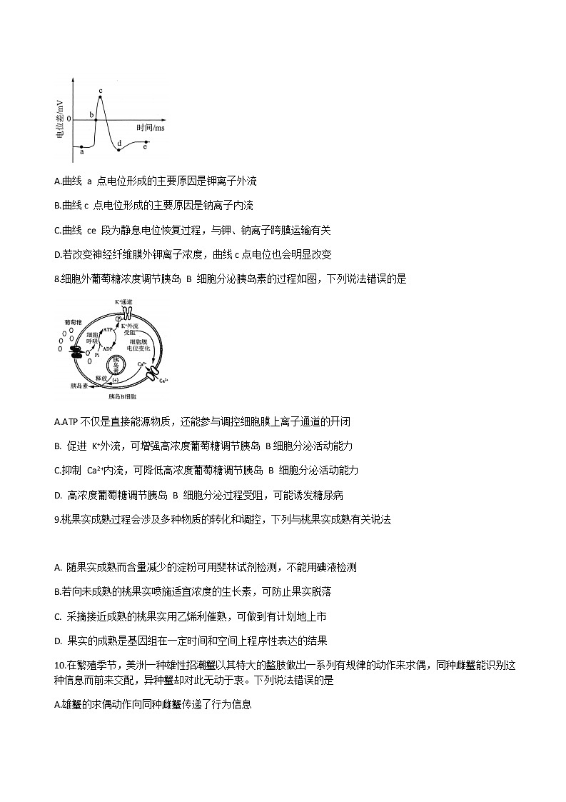 2021湖北省华大新高考联盟高三11月教学质量测评（新高考）生物试题含解析03