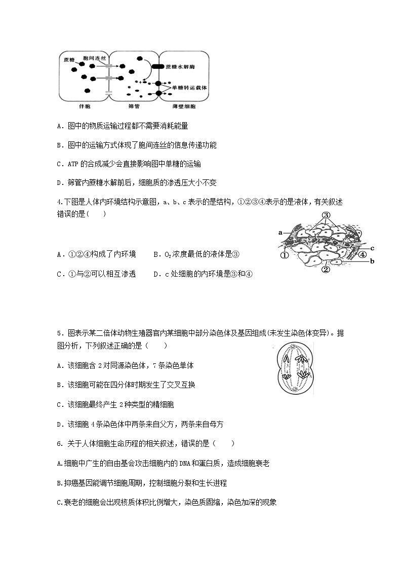2021南充白塔中学高三上学期期中考试生物试题含答案第2页