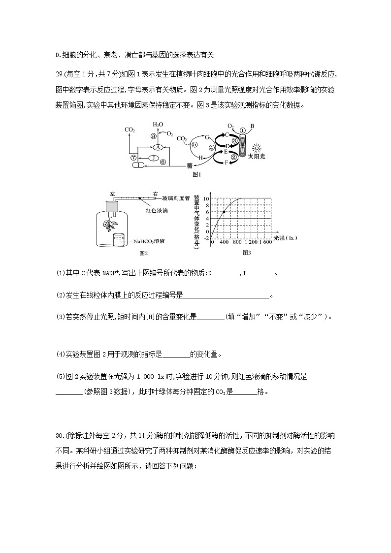 2021南充白塔中学高三上学期期中考试生物试题含答案第3页
