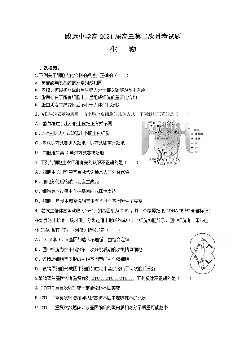 2021内江威远中学高三上学期第二次月考理综-生物试题含答案01
