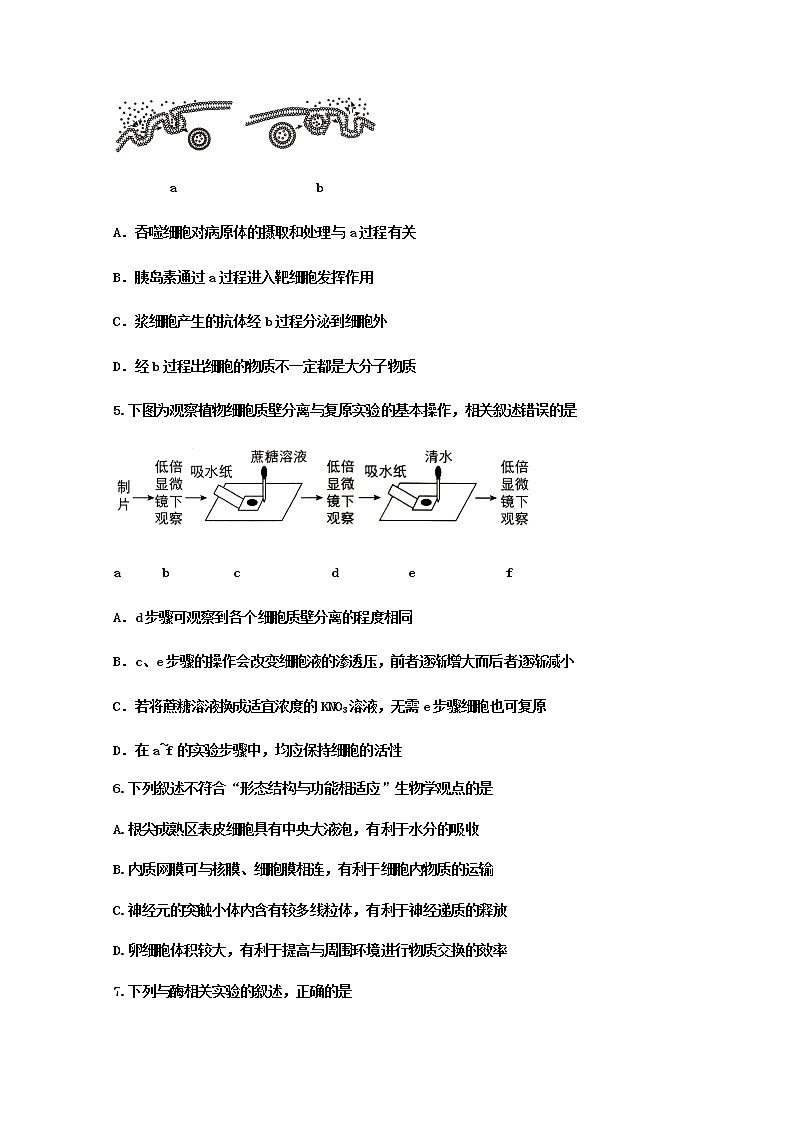 2021黄冈麻城二中高三上学期第一次质量检测生物试题含答案02