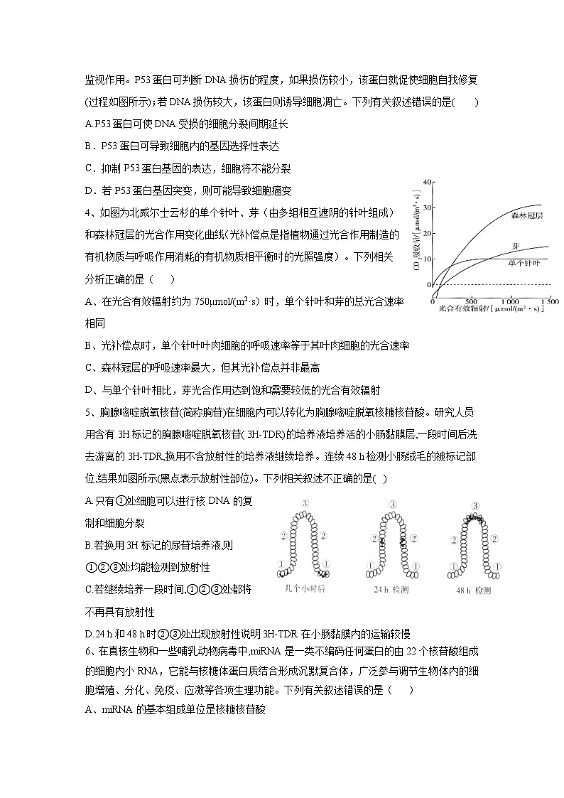 2021江西省上高二中高三上学期第四次月考理综生物试题含答案第2页
