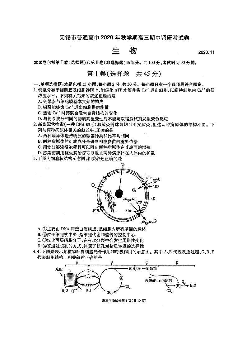 2021无锡高三上学期期中生物试题图片版含答案01