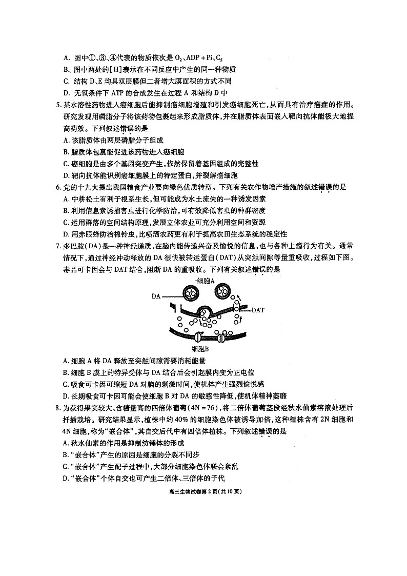 2021无锡高三上学期期中生物试题图片版含答案02