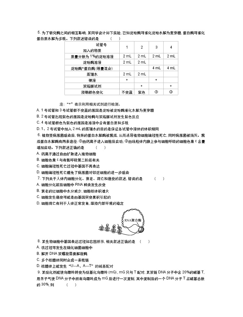 海安生物试卷第2页