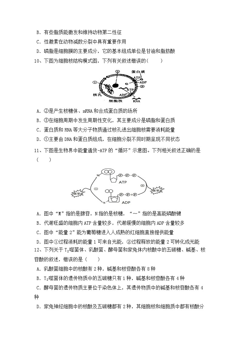 2021白银会宁县四中高三上学期第三次月考生物试题含答案第3页