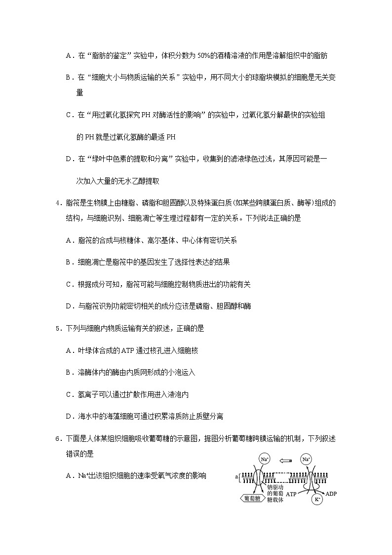 2021威海威海文登区高三上学期期中考试生物试题含答案第2页