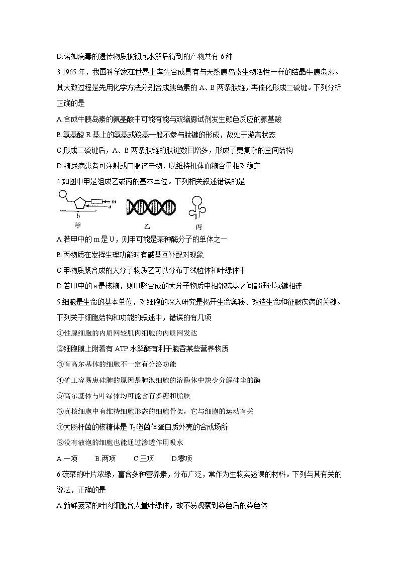 2021运城高三上学期期中考试生物含答案02