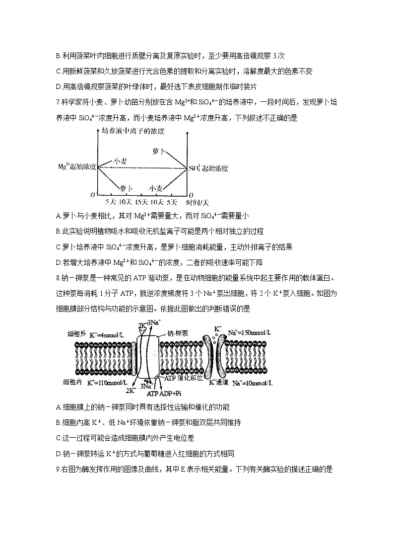2021运城高三上学期期中考试生物含答案03